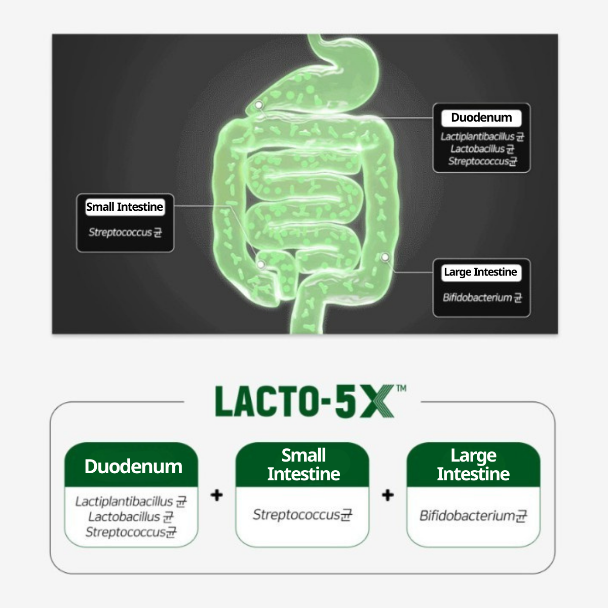 LACTO-FIT Blood Sugar Care Pro 30 Sticks (1-month supply)