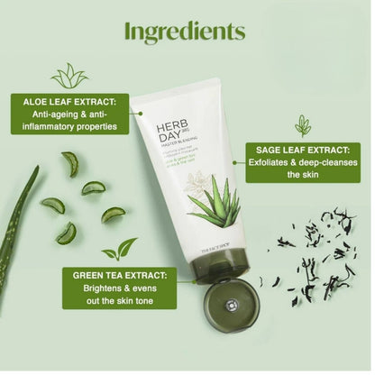 THE FACE SHOP Herb Day 365 Facial Foaming Cleanser - Mung Bean, Aloe Green Tea, Lemon Grapefruit