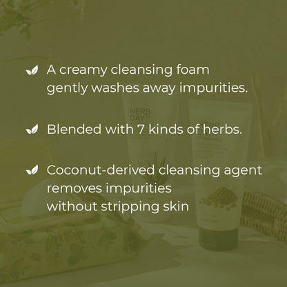 THE FACE SHOP Herb Day 365 Facial Foaming Cleanser - Mung Bean, Aloe Green Tea, Lemon Grapefruit