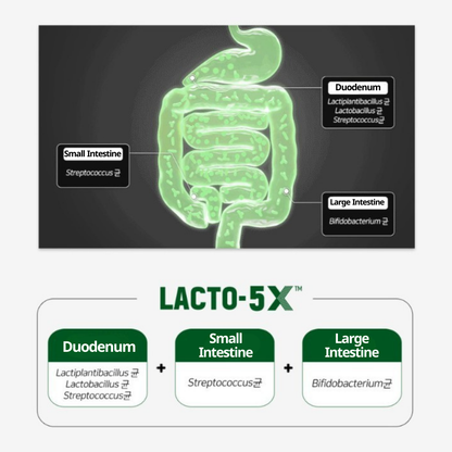 LACTO-FIT Blood Sugar Care Pro 30 Sticks (1-month supply)
