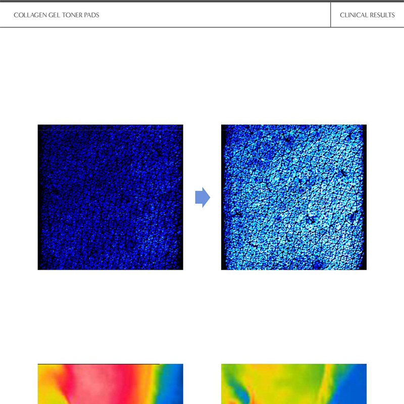 BIODANCE Hydro Cera-Nol Gel Toner Pads 60P (+4P add)