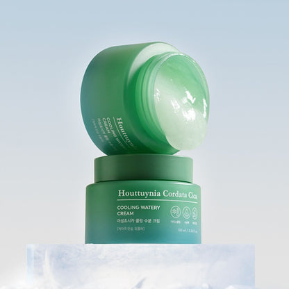 Tonymoly Houttuynia Cordata Cica Cooling Watery Cream 100ml